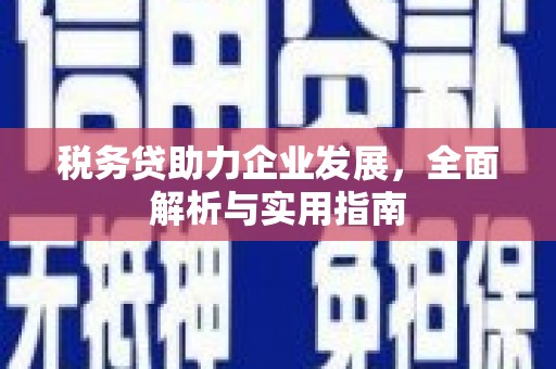 普格税务贷助力企业发展，全面解析与实用指南