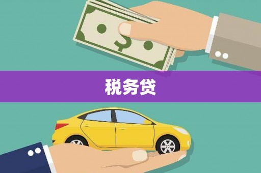 普格税务贷