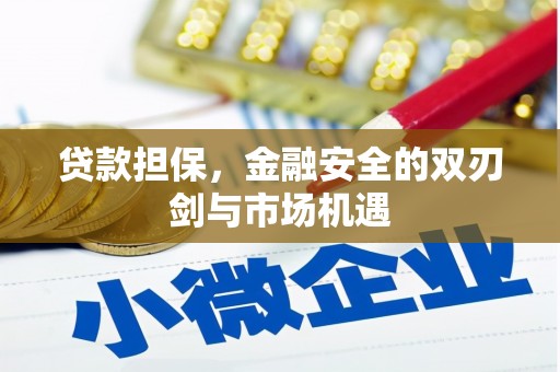 普格贷款担保，金融安全的双刃剑与市场机遇