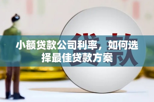 普格小额贷款公司利率，如何选择最佳贷款方案