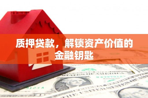 普格质押贷款，解锁资产价值的金融钥匙