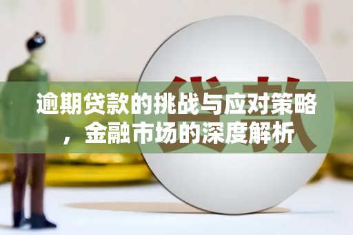 普格逾期贷款的挑战与应对策略，金融市场的深度解析