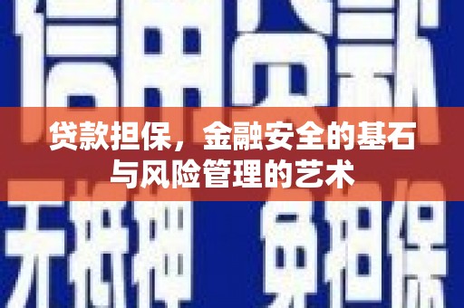 普格贷款担保，金融安全的基石与风险管理的艺术
