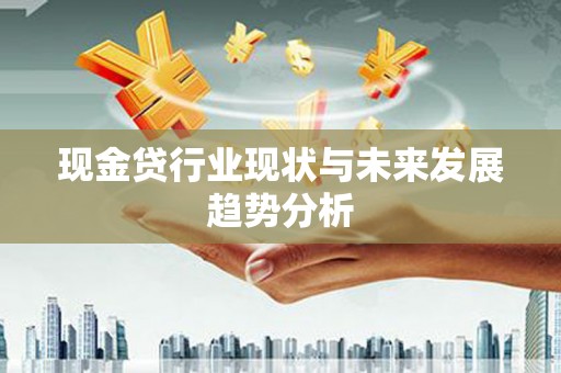 普格现金贷行业现状与未来发展趋势分析