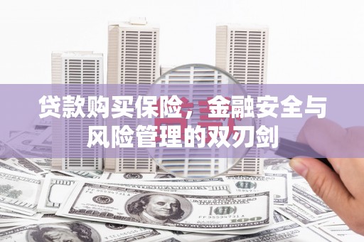 普格贷款购买保险，金融安全与风险管理的双刃剑