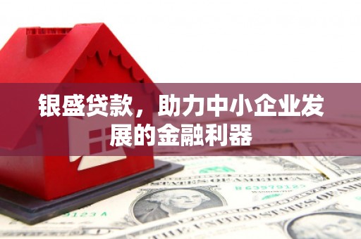 普格银盛贷款，助力中小企业发展的金融利器
