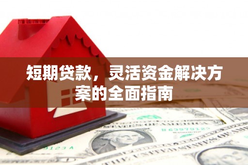 普格短期贷款，灵活资金解决方案的全面指南