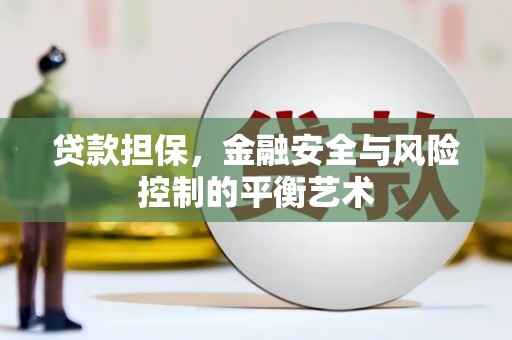 普格贷款担保，金融安全与风险控制的平衡艺术