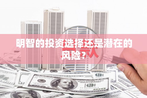 普格明智的投资选择还是潜在的风险？