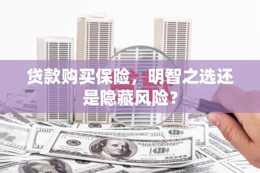 普格贷款购买保险，明智之选还是隐藏风险？
