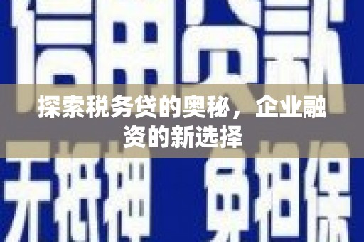 普格探索税务贷的奥秘，企业融资的新选择