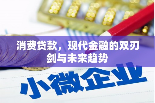 普格消费贷款，现代金融的双刃剑与未来趋势