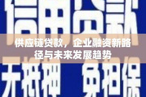 普格供应链贷款，企业融资新路径与未来发展趋势