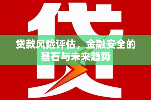 普格贷款风险评估，金融安全的基石与未来趋势