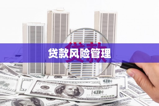 普格贷款风险管理
