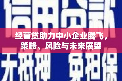 普格经营贷助力中小企业腾飞，策略、风险与未来展望