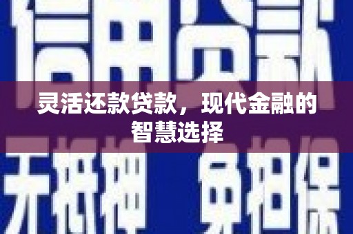 普格灵活还款贷款，现代金融的智慧选择