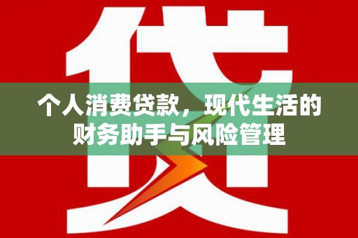 普格个人消费贷款，现代生活的财务助手与风险管理