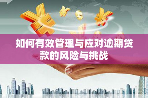普格如何有效管理与应对逾期贷款的风险与挑战