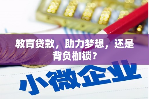 普格教育贷款，助力梦想，还是背负枷锁？