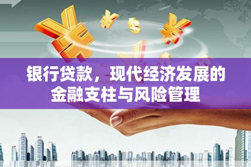 普格银行贷款，现代经济发展的金融支柱与风险管理
