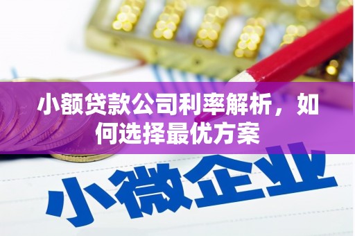 普格小额贷款公司利率解析，如何选择最优方案