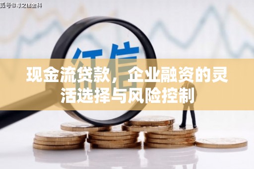 普格现金流贷款，企业融资的灵活选择与风险控制