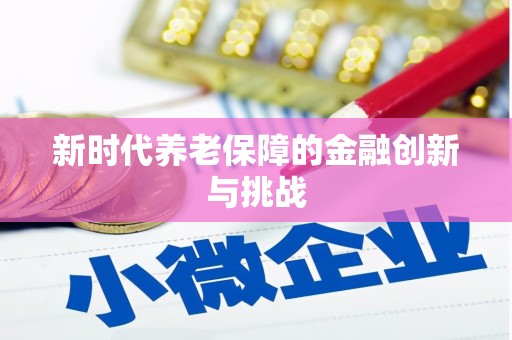 普格新时代养老保障的金融创新与挑战