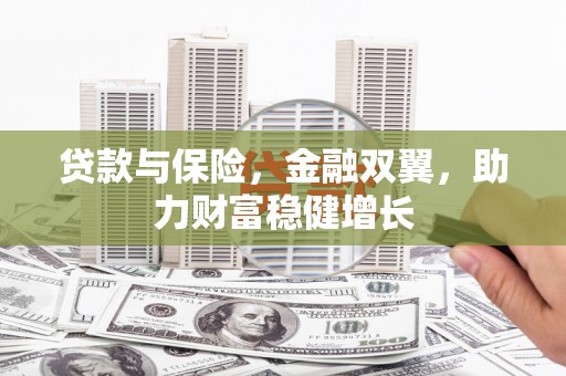 普格贷款与保险，金融双翼，助力财富稳健增长