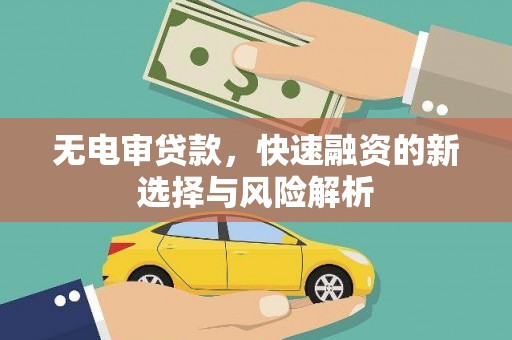 普格无电审贷款，快速融资的新选择与风险解析