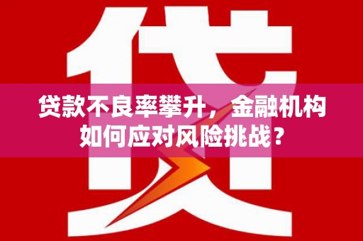 普格贷款不良率攀升，金融机构如何应对风险挑战？