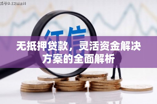 普格无抵押贷款，灵活资金解决方案的全面解析