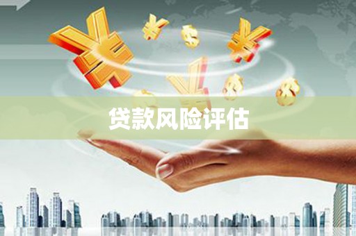 普格贷款风险评估