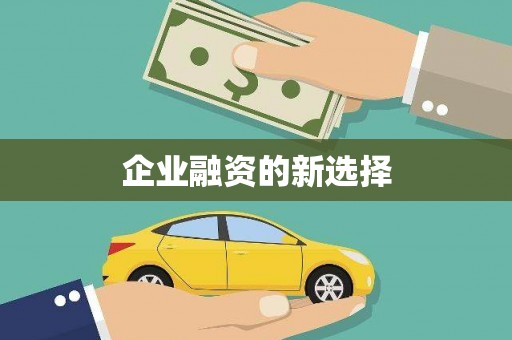 普格企业融资的新选择