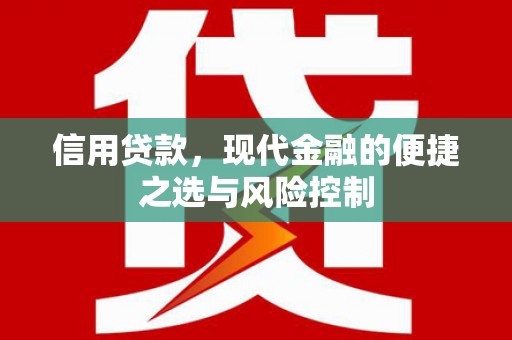 普格信用贷款，现代金融的便捷之选与风险控制