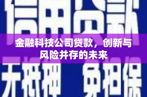 普格金融科技公司贷款，创新与风险并存的未来