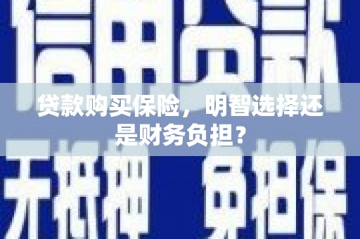 普格贷款购买保险，明智选择还是财务负担？