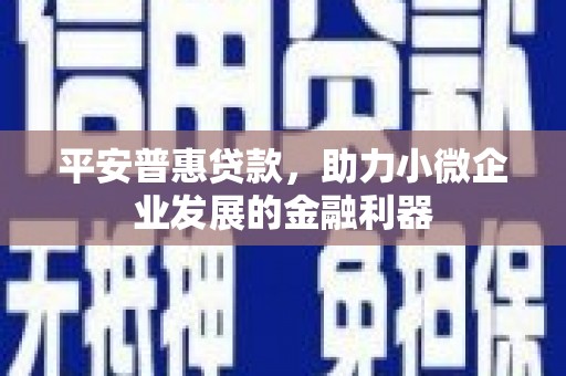 普格平安普惠贷款，助力小微企业发展的金融利器
