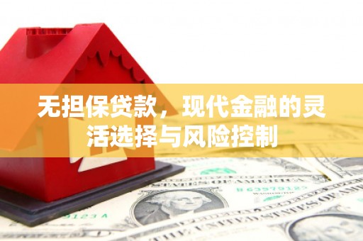 普格无担保贷款，现代金融的灵活选择与风险控制