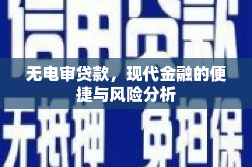 普格无电审贷款，现代金融的便捷与风险分析