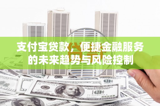 普格支付宝贷款，便捷金融服务的未来趋势与风险控制