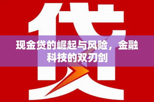 普格现金贷的崛起与风险，金融科技的双刃剑