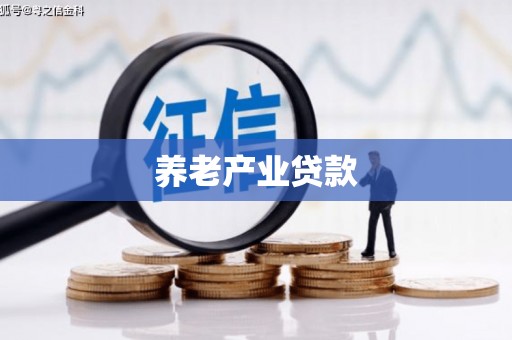 普格养老产业贷款
