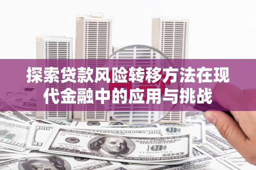 普格探索贷款风险转移方法在现代金融中的应用与挑战