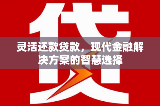 普格灵活还款贷款，现代金融解决方案的智慧选择