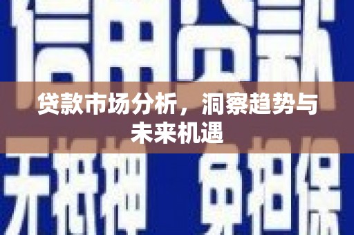 普格贷款市场分析，洞察趋势与未来机遇