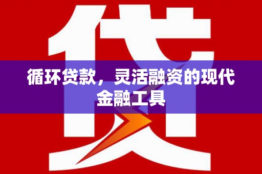 普格循环贷款，灵活融资的现代金融工具