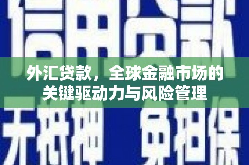 普格外汇贷款，全球金融市场的关键驱动力与风险管理