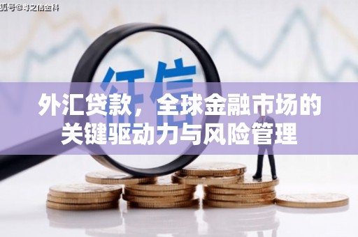 普格外汇贷款，全球金融市场的关键驱动力与风险管理