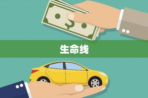 普格生命线